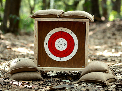 Hedef Vurma Oyunları - Nişan Alma Oyunları